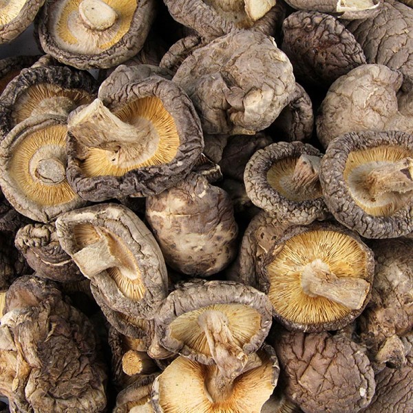 Gewürzgarten Selection - Getrocknete Shiitake Pilze (kleine Kalibrierung ø3-4cm)